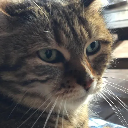 La Ferme De Marie Apartment