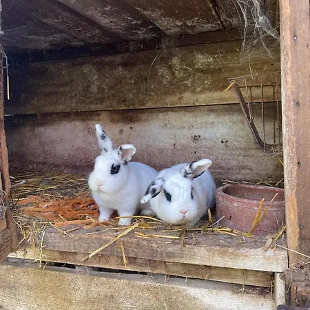 La Ferme De Marie Apartment *