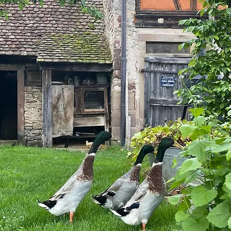 Apartment La Ferme De Marie Rangen