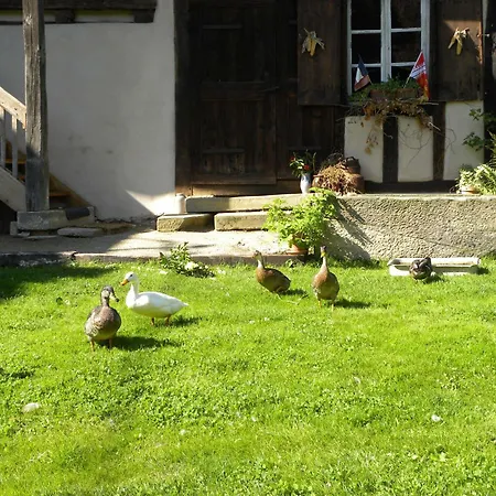 La Ferme De Marie * Rangen