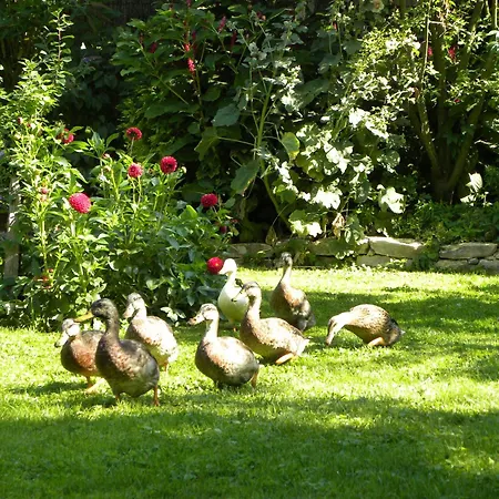 Apartment La Ferme De Marie Rangen