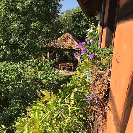 Apartment La Ferme De Marie Rangen