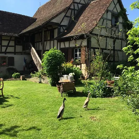 La Ferme De Marie Rangen
